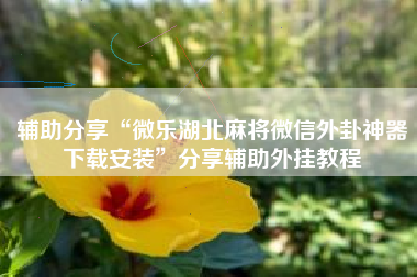 辅助分享“微乐湖北麻将微信外卦神器下载安装”分享辅助外挂教程