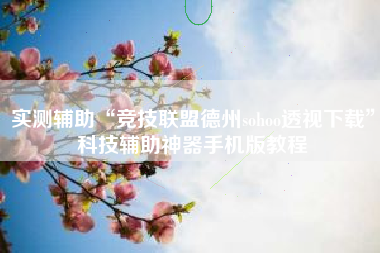 实测辅助“竞技联盟德州sohoo透视下载”科技辅助神器手机版教程