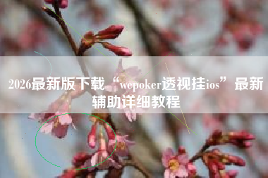 2026最新版下载“wepoker透视挂ios”最新辅助详细教程