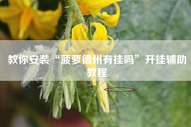 教你安装“菠萝德州有挂吗”开挂辅助教程