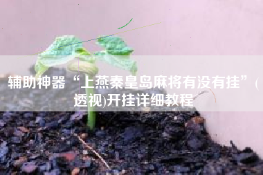 辅助神器“上燕秦皇岛麻将有没有挂”(透视)开挂详细教程