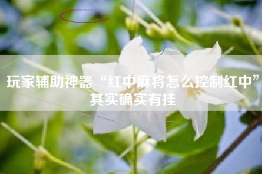 玩家辅助神器“红中麻将怎么控制红中	”其实确实有挂