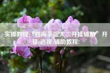 实操教程“四海茶馆大二开挂辅助”开挂(透视)辅助教程!