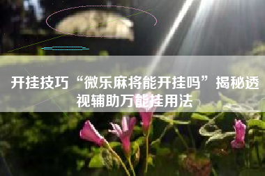 开挂技巧“微乐麻将能开挂吗”揭秘透视辅助万能挂用法