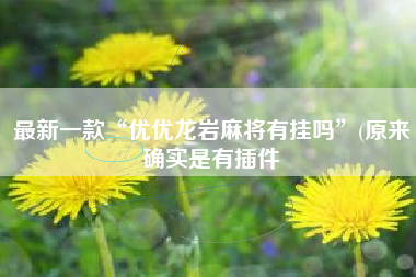 最新一款“优优龙岩麻将有挂吗”(原来确实是有插件