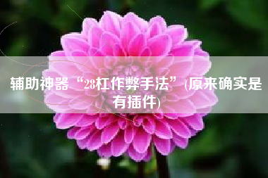 辅助神器“28杠作弊手法”(原来确实是有插件)