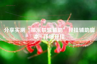 分享实测“微乐联盟辅助”开挂辅助脚本+详细开挂