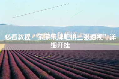 必看教程“家家乐牌吧拼三张透视”详细开挂