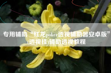 专用辅助“红龙poker透视辅助器安卓版”(透视挂)辅助透视教程