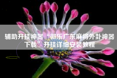 辅助开挂神器“微乐广东麻将外卦神器下载	”开挂详细安装教程