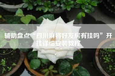 辅助盘点“四川麻将好友房有挂吗”开挂详细安装教程