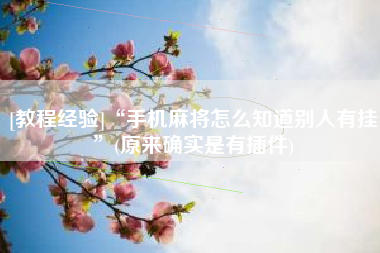 [教程经验]“手机麻将怎么知道别人有挂”(原来确实是有插件)