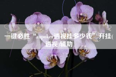 一键必胜“aapoker透视挂多少钱”开挂(透视)辅助