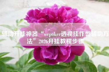 辅助开挂神器“wepoker透视挂作弊辅助方法”2026开挂教程步骤
