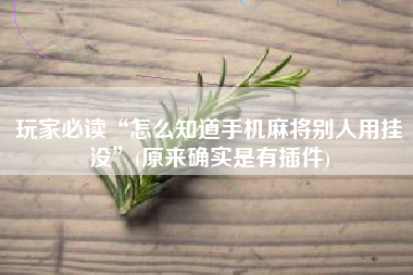 玩家必读“怎么知道手机麻将别人用挂没”(原来确实是有插件)