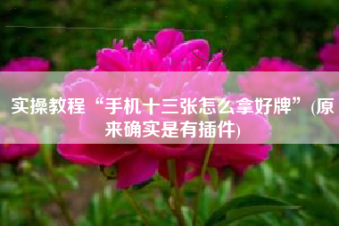 实操教程“手机十三张怎么拿好牌”(原来确实是有插件)