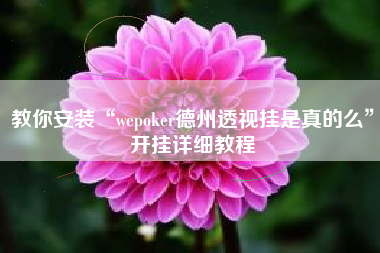 教你安装“wepoker德州透视挂是真的么”开挂详细教程
