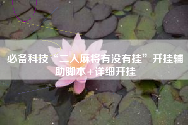 必备科技“二人麻将有没有挂”开挂辅助脚本+详细开挂