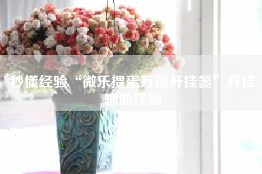 秒懂经验“微乐掼蛋万能开挂器”开挂辅助详细