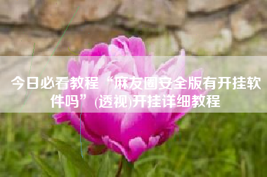 今日必看教程“麻友圈安全版有开挂软件吗”(透视)开挂详细教程