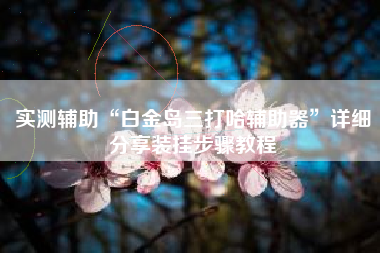 实测辅助“白金岛三打哈辅助器”详细分享装挂步骤教程
