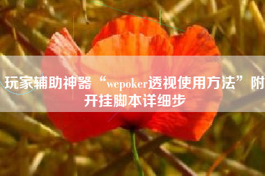 玩家辅助神器“wepoker透视使用方法”附开挂脚本详细步