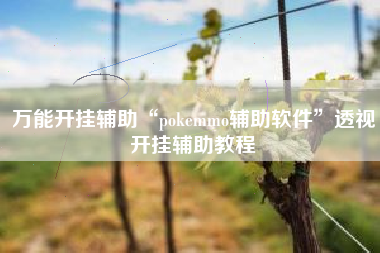 万能开挂辅助“pokemmo辅助软件”透视开挂辅助教程