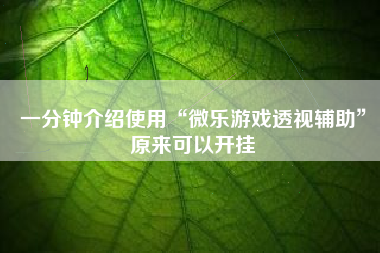 一分钟介绍使用“微乐游戏透视辅助”原来可以开挂