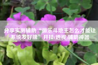分享实测辅助“微乐斗地主怎么才能让系统发好牌	”开挂(透视)辅助神器