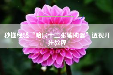 秒懂经验“哈局十三张辅助器”透视开挂教程