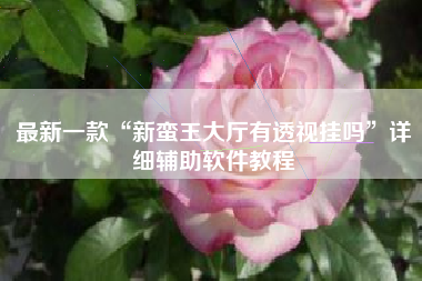 最新一款“新蛮王大厅有透视挂吗”详细辅助软件教程