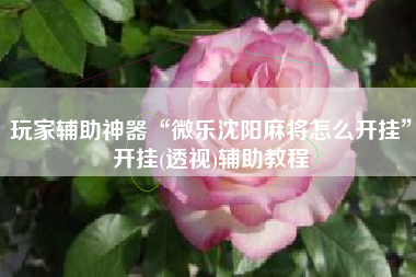 玩家辅助神器“微乐沈阳麻将怎么开挂”开挂(透视)辅助教程