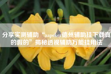 分享实测辅助“aapoker德州辅助挂下载真的假的”揭秘透视辅助万能挂用法
