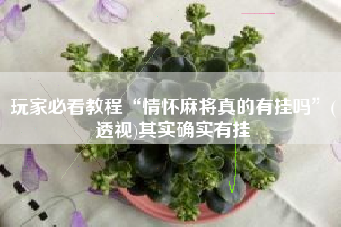 玩家必看教程“情怀麻将真的有挂吗”(透视)其实确实有挂