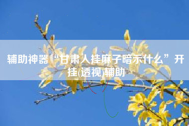 辅助神器“甘肃人挂麻子暗示什么	”开挂(透视)辅助