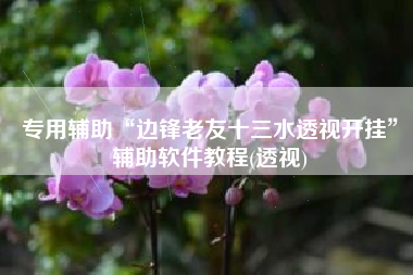 专用辅助“边锋老友十三水透视开挂”辅助软件教程(透视)