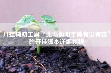 开挂辅助工具“北斗衡阳字牌有没有挂”附开挂脚本详细教程
