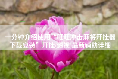 一分钟介绍使用“旺旺冲击麻将开挂器下载安装”开挂(透视)最新辅助详细