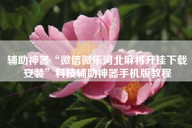 辅助神器“微信微乐河北麻将开挂下载安装”科技辅助神器手机版教程