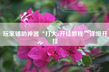 玩家辅助神器“打大a开挂教程	”详细开挂