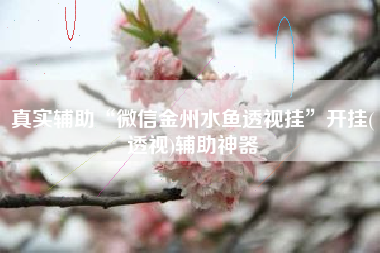 真实辅助“微信金州水鱼透视挂”开挂(透视)辅助神器