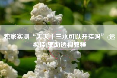 独家实测“天天十三水可以开挂吗”(透视挂)辅助透视教程