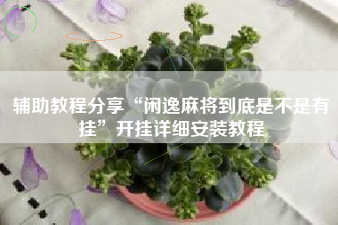 辅助教程分享“闲逸麻将到底是不是有挂”开挂详细安装教程