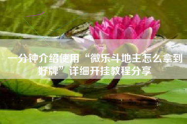 一分钟介绍使用“微乐斗地主怎么拿到好牌”详细开挂教程分享