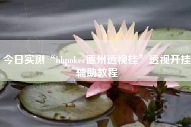 今日实测“hhpoker德州透视挂”透视开挂辅助教程