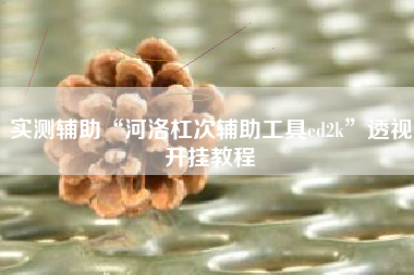 实测辅助“河洛杠次辅助工具ed2k”透视开挂教程