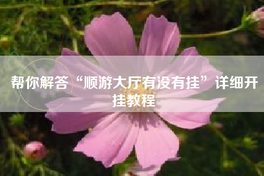 帮你解答“顺游大厅有没有挂”详细开挂教程
