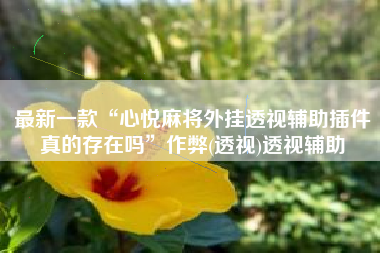 最新一款“心悦麻将外挂透视辅助插件真的存在吗”作弊(透视)透视辅助