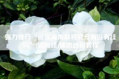 强力推荐“琼崖海南麻将究竟有没有挂吗”(透视挂)辅助透视教程