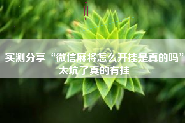 实测分享“微信麻将怎么开挂是真的吗”太坑了真的有挂